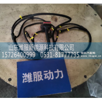 WPB1005268567,后处理过渡线束,山东潍服新能源科技有限公司