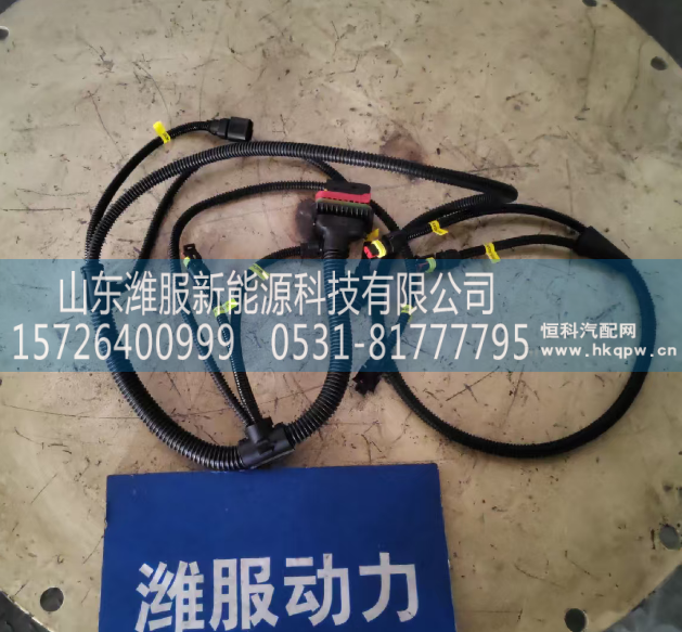 WPB1005268567