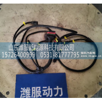 1005268567后处理过渡线束