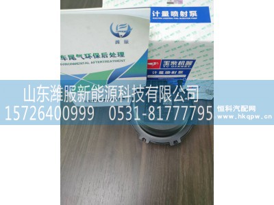 Y24-1205340-18-01,计量喷射泵,山东潍服新能源科技有限公司