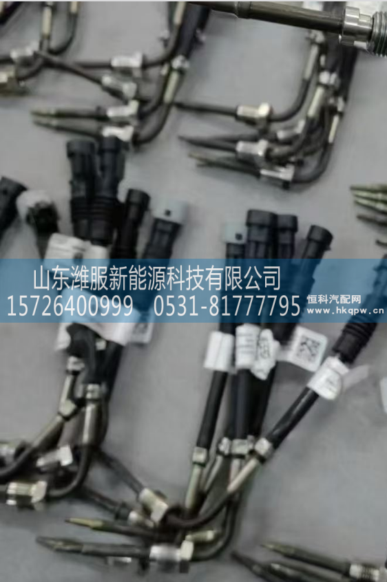 612640130648,温度传感器,山东潍服新能源科技有限公司