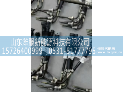 612640130648,温度传感器,山东潍服新能源科技有限公司