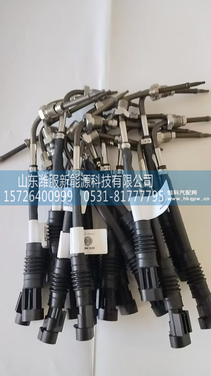 612640130648,温度传感器,山东潍服新能源科技有限公司