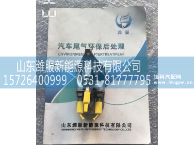 1003010051,尿素喷嘴,山东潍服新能源科技有限公司