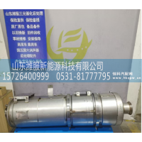 AZ972554000300,MC07高效筒式后处理器,山东潍服新能源科技有限公司
