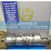 AZ972554000300,MC07高效筒式后处理器,山东潍服新能源科技有限公司