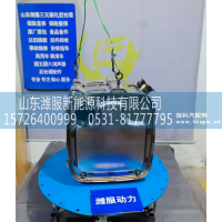 GZWWPA1013271139,三元催化转化器,山东潍服新能源科技有限公司