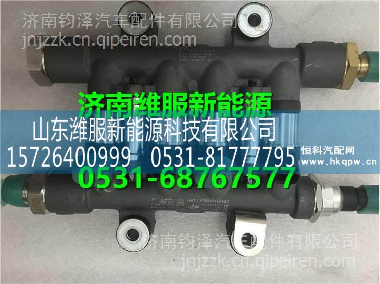 LN200-1113900B玉柴天然氣發動機噴軌噴射泵  LN200-1113900B/