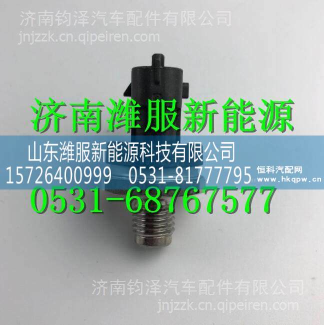 0281006176博士軌壓傳感器 0281006176/