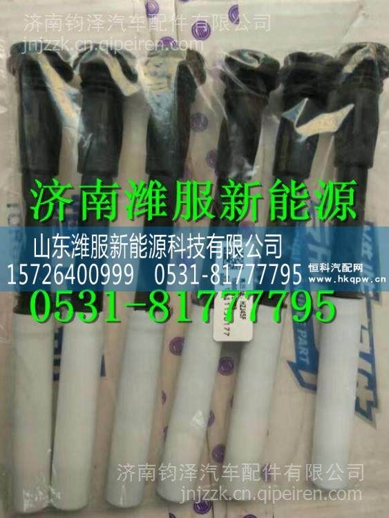 0281020903博世系統(tǒng)天然氣點(diǎn)火線圈護(hù)套 0281020903/