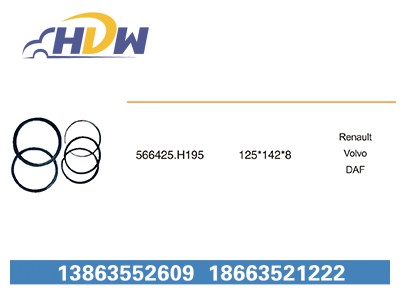 566425.H195,,临清市汉德轴承有限公司
