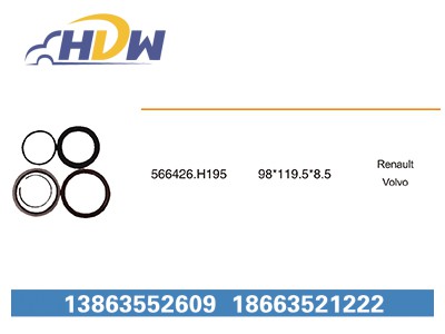 566426.H195,,临清市汉德轴承有限公司