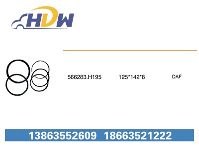 566283.H195,,临清市汉德轴承有限公司