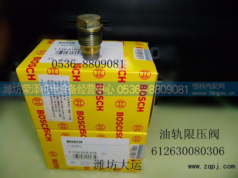 612630080306,油轨限压阀,潍坊荣泽机电设备经营中心