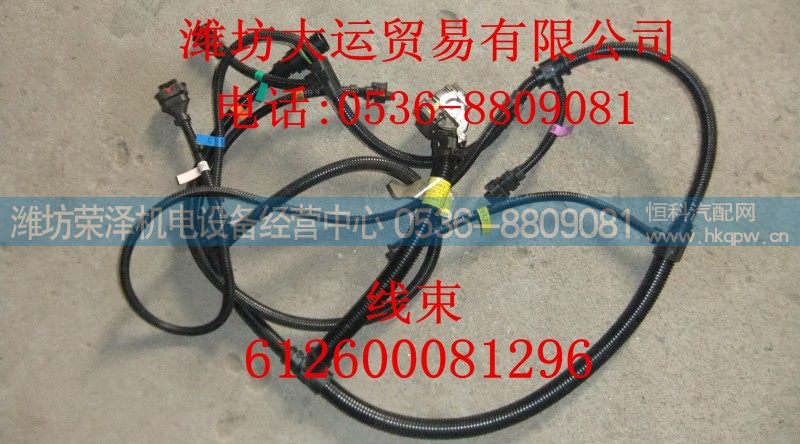 612600081296,线束,潍坊荣泽机电设备经营中心