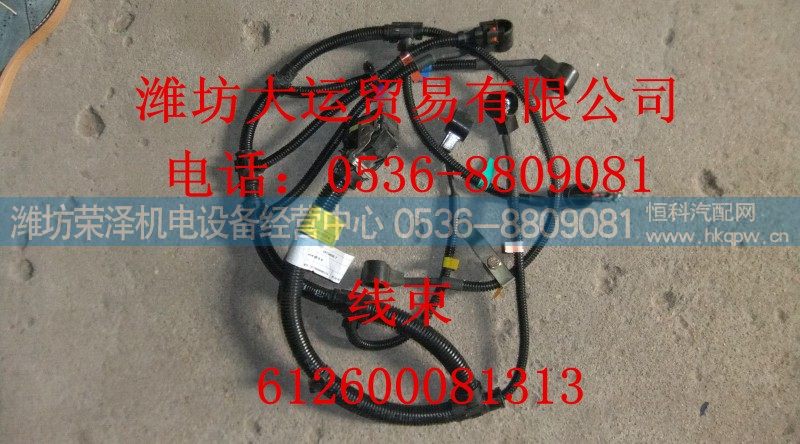 612600081313,线束,潍坊荣泽机电设备经营中心