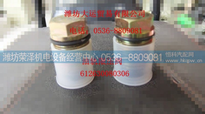 612630080306,油轨限压阀,潍坊荣泽机电设备经营中心