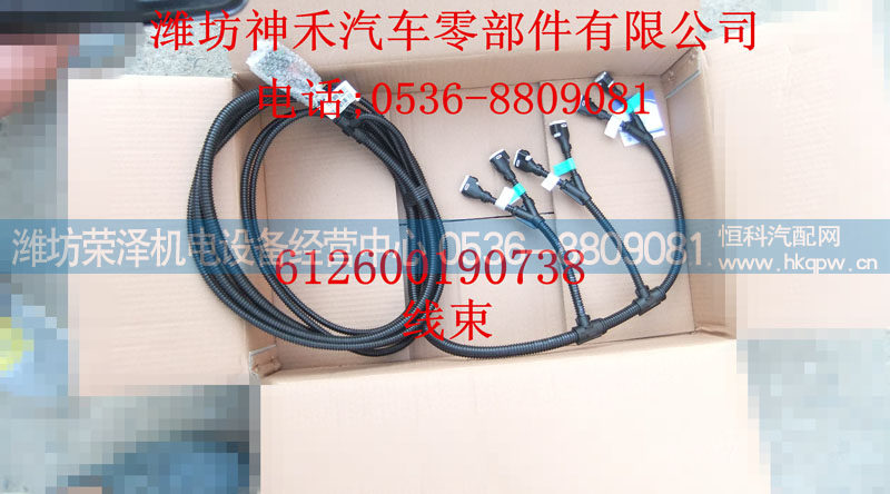 线束 612600190738