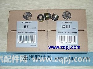 供正品潍柴欧Ⅱ气门油封（0114）