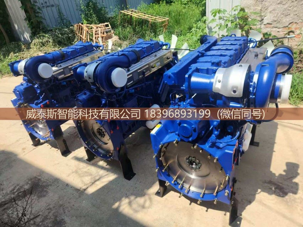,发动机总成Engine Assembly,威泰斯智能科技有限公司