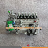潍柴系列高压油泵总成 612601080874