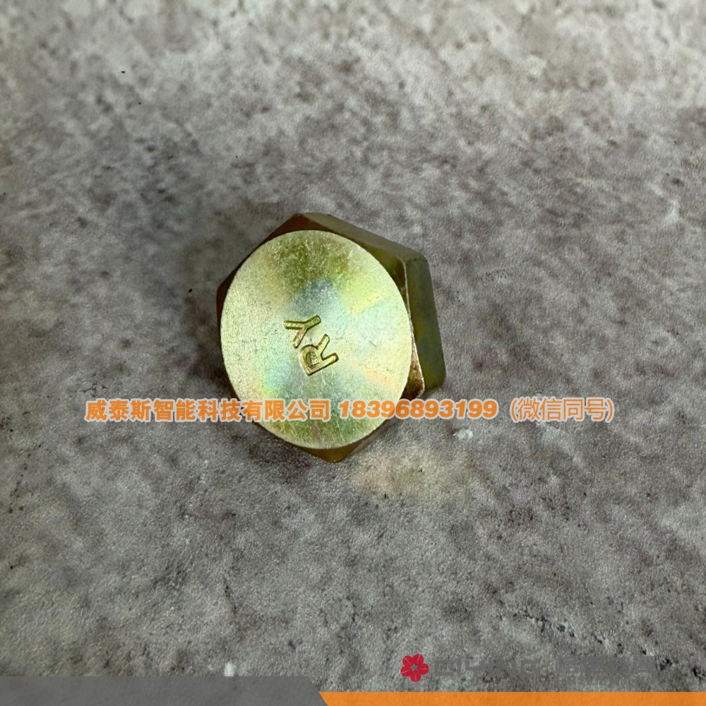 90017020004,六角螺塞  尺寸 22×1.5  90017020004,威泰斯智能科技（山東）有限公司
