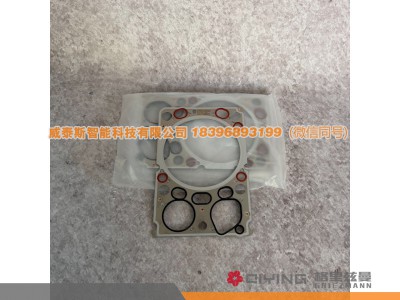 612600040646,汽缸垫 D10   612600040646,威泰斯智能科技（山东）有限公司