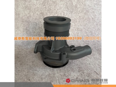 612640060070,水泵 612640060070,威泰斯智能科技（山东）有限公司