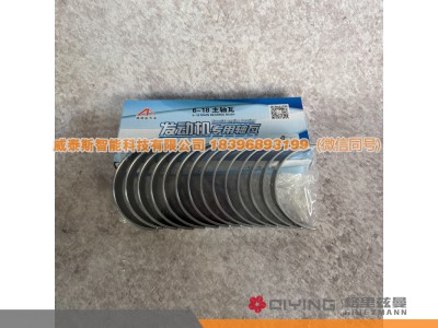 61800010128,潍柴618主轴瓦   61800010128/0069,威泰斯智能科技（山东）有限公司