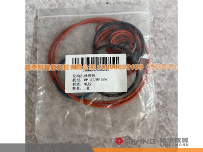 WP14T/WP15NG,发动机修理包  WP14T/WP15NG,威泰斯智能科技（山东）有限公司