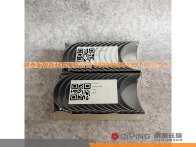1001813906 1001813905,连杆瓦（进口） WP14T 1001813906 1001813905,威泰斯智能科技（山东）有限公司