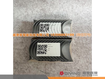 1001813906 1001813905,连杆瓦（进口） WP14T 1001813906 1001813905,威泰斯智能科技（山东）有限公司