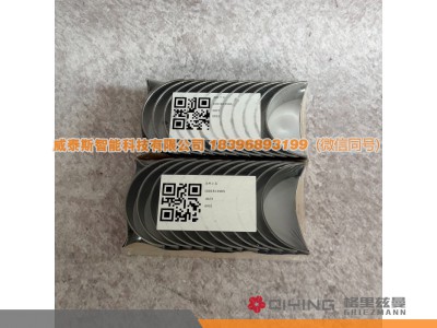 1001813906 1001813905,连杆瓦（进口） WP14T 1001813906 1001813905,威泰斯智能科技（山东）有限公司