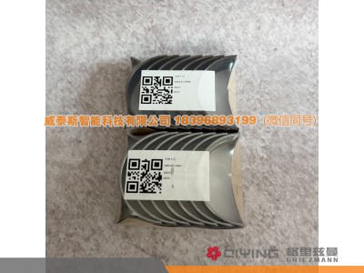1001813907 1001813908,主轴瓦（进口）  WP14T  1001813907 1001813908,威泰斯智能科技（山东）有限公司