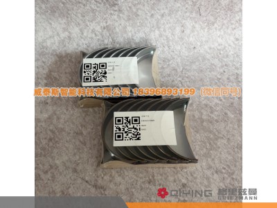 1001813907 1001813908,主轴瓦（进口）  WP14T  1001813907 1001813908,威泰斯智能科技（山东）有限公司