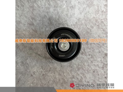 VG1246060006,惰轮 VG1246060006  D12,威泰斯智能科技（山东）有限公司
