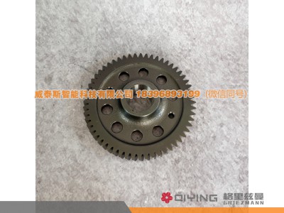 VG1246130009,喷油泵齿轮 VG1246130009 D12,威泰斯智能科技（山东）有限公司