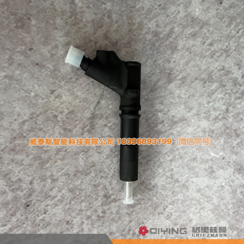 喷油器  VG1246080036A D12 威泰斯智能科技