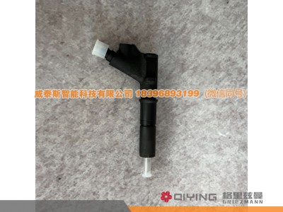 VG1246080036A,喷油器  VG1246080036A D12,威泰斯智能科技（山东）有限公司