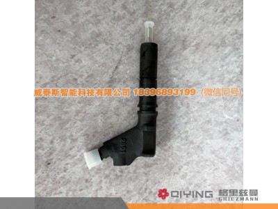 VG1246080036A,喷油器  VG1246080036A D12,威泰斯智能科技（山东）有限公司