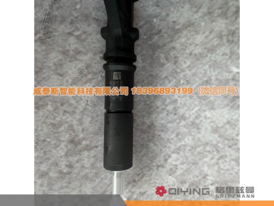 VG1246080036A,喷油器  VG1246080036A D12,威泰斯智能科技（山东）有限公司