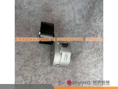 VG1246060022D,自动涨紧轮  VG1246060022D  D12,威泰斯智能科技（山东）有限公司