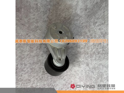 VG1246060022D,自动涨紧轮  VG1246060022D  D12,威泰斯智能科技（山东）有限公司