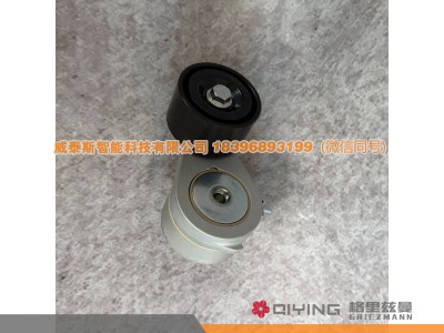 VG1246060022D,自动涨紧轮  VG1246060022D  D12,威泰斯智能科技（山东）有限公司