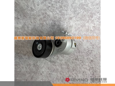 VG1246060005D,自动涨紧轮 VG1246060005D   D12,威泰斯智能科技（山东）有限公司