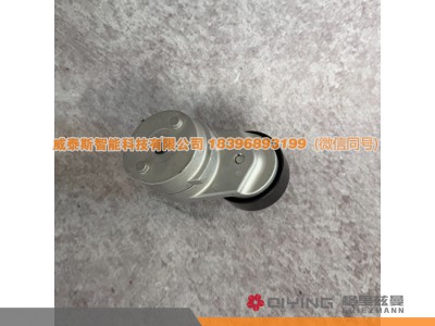 VG1246060005D,自动涨紧轮 VG1246060005D   D12,威泰斯智能科技（山东）有限公司