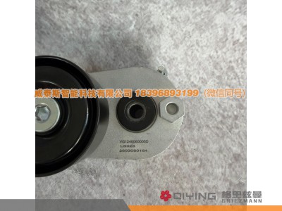 VG1246060005D,自动涨紧轮 VG1246060005D   D12,威泰斯智能科技（山东）有限公司