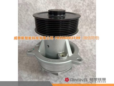 1001273037,水泵头1001273037,威泰斯智能科技（山东）有限公司