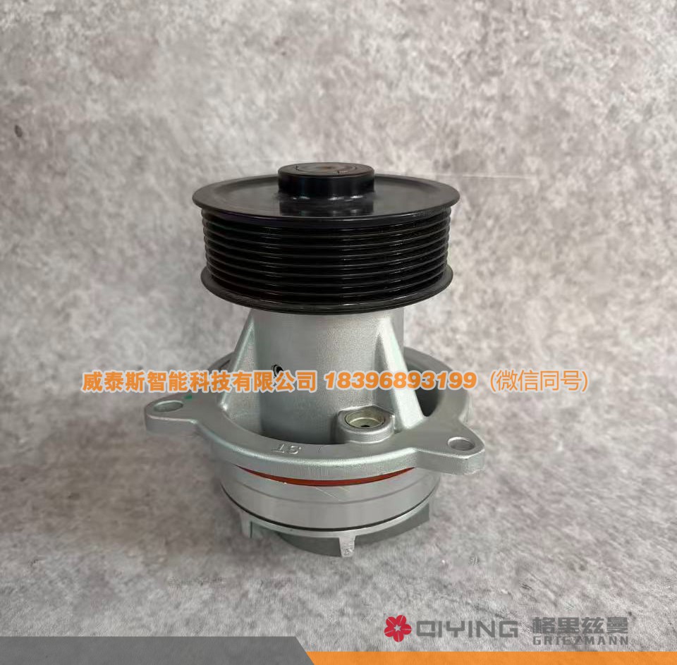 水泵头1001273037 车型  H10 威泰斯智能科技图2
