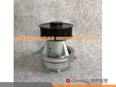 1001273037,水泵头1001273037,威泰斯智能科技（山东）有限公司